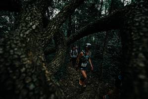 BIB: 
                            <button type="button" onclick="openModal(25690106)" class="btn btn-primary btn-sm float-right btn-popup" data-toggle="modal" data-target=".modal-high-quality">
                        <i class="fas fa-shopping-cart"></i> Add to Cart
                    </button>
                                            <button type="button" onclick="isThisMe(25690106, true)" class="btn btn-success btn-sm float-right btn-popup btn-isme hidden" data-toggle="tooltip" data-placement="bottom" title="นี่คือรูปของคุณใช่ไหม คลิกที่นี่เพื่อเอาเข้าอัลบั้ม">
                        <i class="fas fa-plus"></i> Add to album
                    </button>
                    <button type="button" onclick="isThisMe(25690106, false)" class="btn btn-warning btn-sm float-right btn-popup btn-isnotme hidden">
                        <i class="fas fa-ban"></i> Remove from album
                    </button>